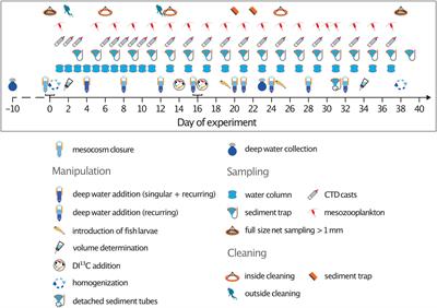 Effect of Intensity and Mode of Artificial Upwelling on Particle Flux and Carbon Export